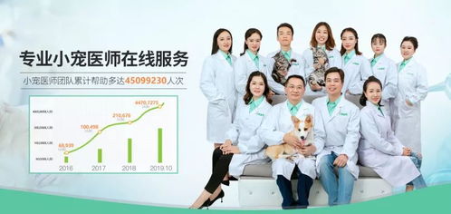 疫情期間寵物嘔吐、拉稀、血便怎么辦？4大科學防護指南助力在家養寵