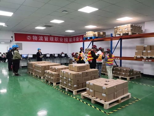 走過2019，奮斗的足跡——成果展學院篇之外語外貿學院、建筑工程學院、創意設計學院與策劃創意服務